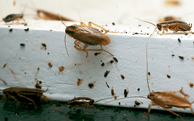 Механические повреждения