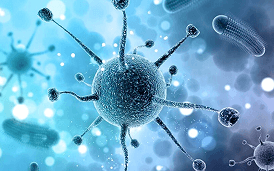 Вирусные инфекции