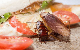 Пищевые отравления